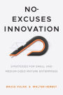 No-Excuses Innovation: Strategies for Small- and Medium-Sized Mature Enterprises