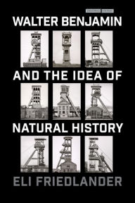 Title: Walter Benjamin and the Idea of Natural History, Author: Eli Friedlander