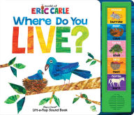 Title: Eric Carle Home Little Lift and Listen Book: Play-a-Sound, Author: Susan Rich Brooke