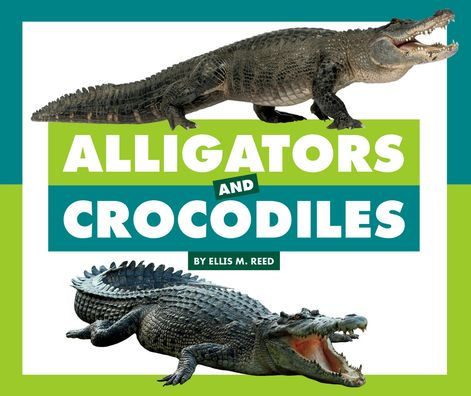 Alligators and Crocodiles