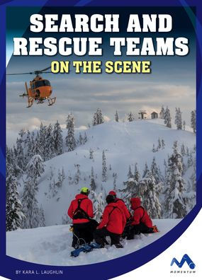 Search and Rescue Teams on the Scene
