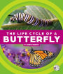 The Life Cycle of a Butterfly