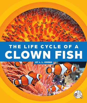 The Life Cycle of a Clown Fish