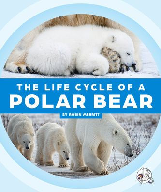 The Life Cycle of a Polar Bear