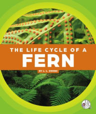Title: The Life Cycle of a Fern, Author: L L Owens