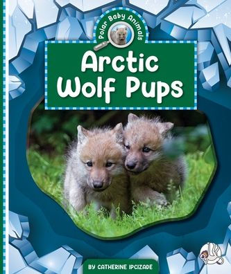Arctic Wolf Pups