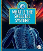 What Is the Skeletal System?