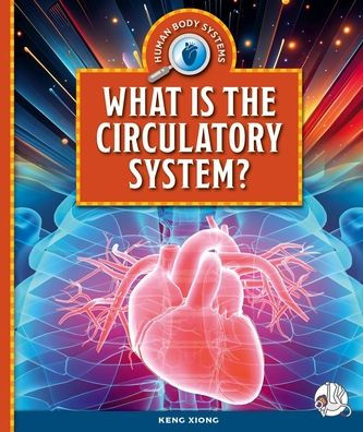 What Is the Circulatory System?