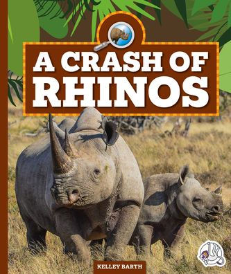 A Crash of Rhinos