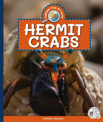 Hermit Crabs