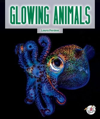 Glowing Animals