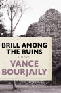 Brill Among the Ruins: A Novel