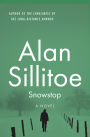 Snowstop: A Novel