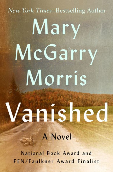 Vanished: A Novel