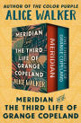 Meridian and The Third Life of Grange Copeland