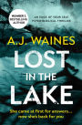 Lost in the Lake: An Edge of Your Seat Psychological Thriller