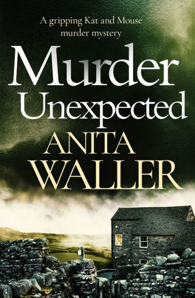Murder Unexpected (Kat and Mouse Murder Mystery #2)