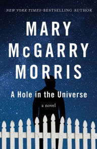 Title: A Hole in the Universe: A Novel, Author: Mary McGarry Morris