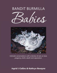Title: Bandit Burmilla Babies: Intimate Conversations with a Family of Cats on Love, Pregancy, Birth, Death and Separation., Author: Ingrid J Collins