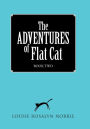 The ADVENTURES of Flat Cat: Book Two