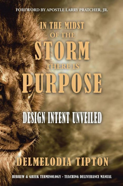 the Midst of Storm There Is Purpose: Design Intent Unveiled