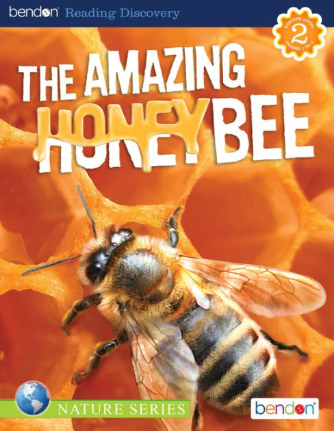 The Amazing Honey Bee by Susan Ring, Kim and James Neale | NOOK Book ...