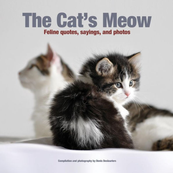 The Cat's Meow: Feline quotes, sayings, and photos