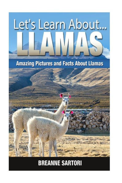 Llamas: Amazing Pictures and Facts About Llamas
