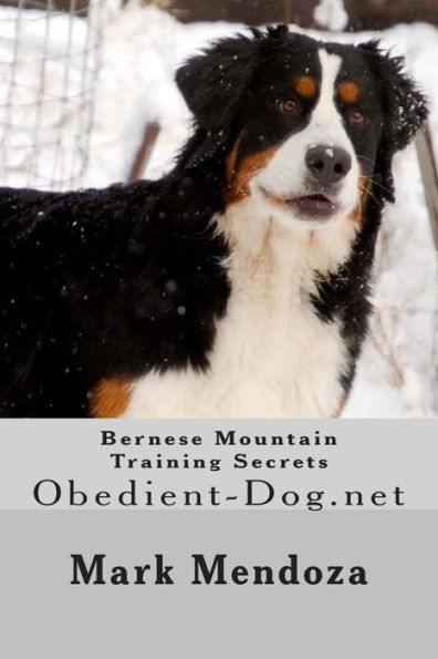 Bernese Mountain Training Secrets: Obedient-Dog.net