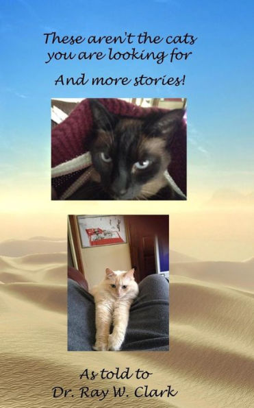 These aren't the cats you are looking for