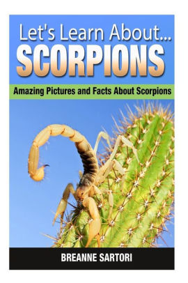 Scorpions: Amazing Pictures and Facts About Scorpions