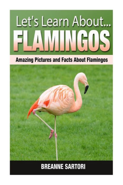 Flamingos: Amazing Pictures and Facts About Flamingos