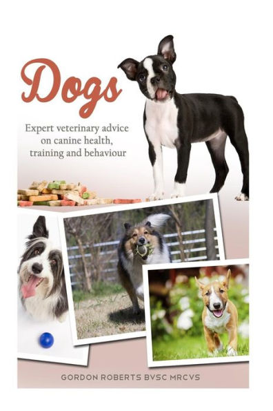 Dogs: Expert veterinary advice on canine health, training and behaviour