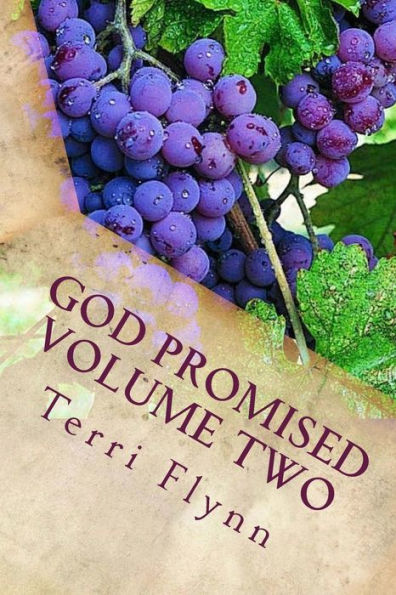 God Promised Volume Two: Proclaiming the Word Over