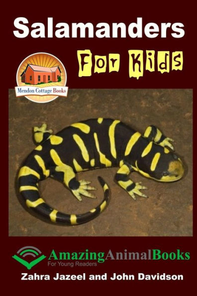 Salamanders For Kids