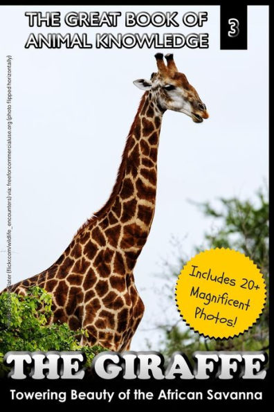 The Giraffe: Towering Beauty of the African Savanna