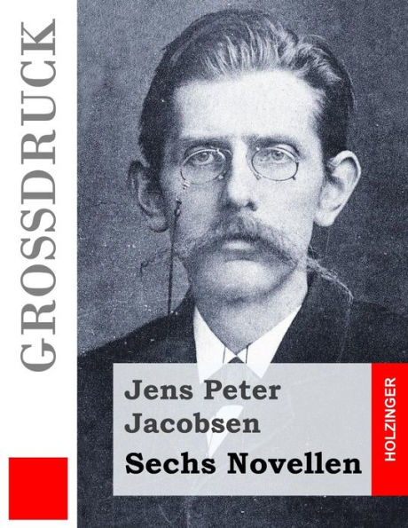 Sechs Novellen (Großdruck)