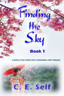 Finding the Sky: A Shoujo Style Novel Series