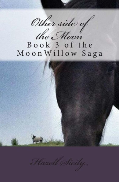 Other side of the Moon: Book 3 of the MoonWillow Saga