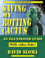 Saving My Rotting Cactus