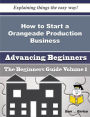 How to Start a Orangeade Production Business (Beginners Guide)