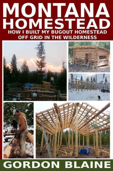 Montana Homestead: How I Built My Homestead Off Grid In The Wilderness