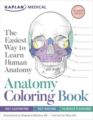 Download Anatomy Coloring Book By Stephanie Mccann Eric Wise Paperback Barnes Noble