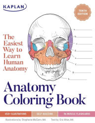 Title: Anatomy Coloring Book with 450+ Realistic Medical Illustrations with Quizzes for Each, Author: Stephanie McCann