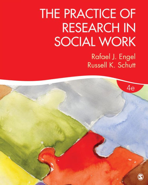 The Practice of Research in Social Work / Edition 4