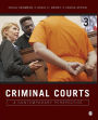 Criminal Courts: A Contemporary Perspective / Edition 3