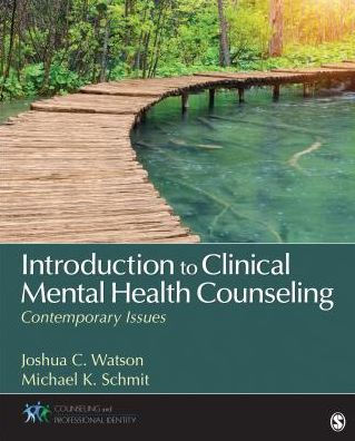 Introduction to Clinical Mental Health Counseling: Contemporary Issues / Edition 1