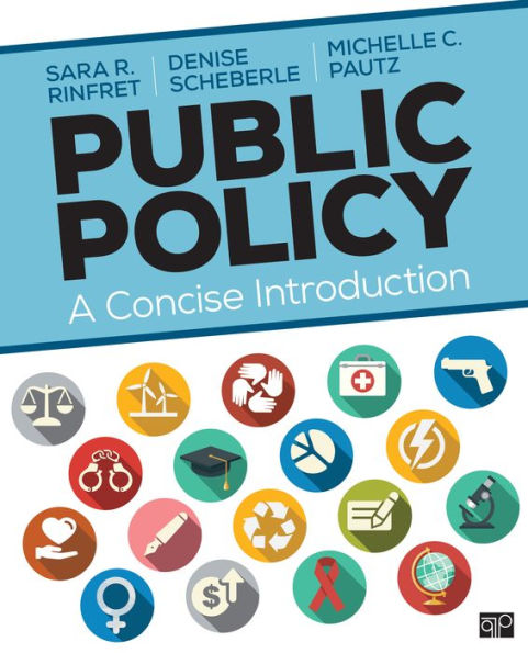 Public Policy: A Concise Introduction / Edition 1