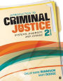 Introduction to Criminal Justice: Systems, Diversity, and Change / Edition 2