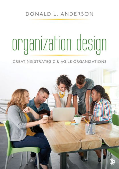 Organization Design: Creating Strategic & Agile Organizations / Edition 1